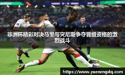 博鱼
